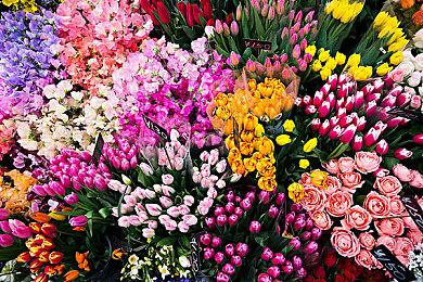 《丧尸围城：豪华复刻版》评分解禁 M站均分83